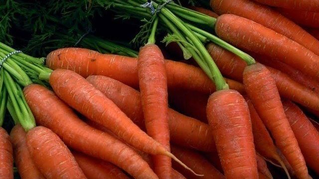 Хотите сладкую морковь? Полейте эффективными народными средствами