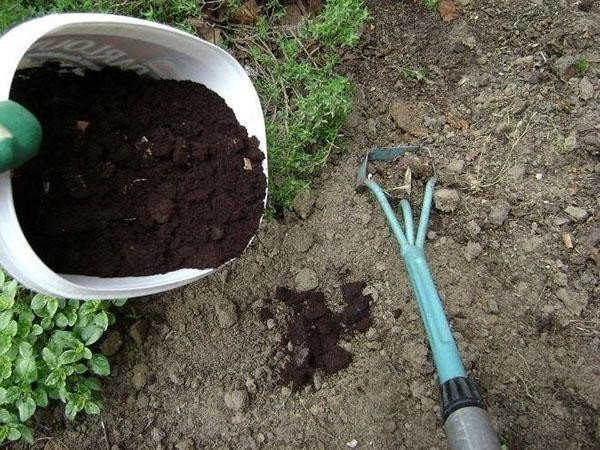 Подготовка почвы весной для посадки