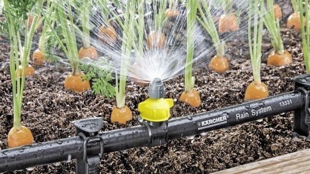 Система полива огорода своими руками: как организовать на даче? Поливочное оборудование для грядок